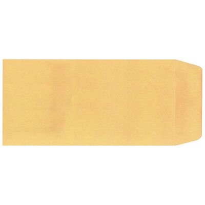 License Plate Envelope Self-Sealing (Plain)