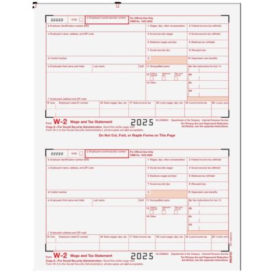 W-2 Laser Federal IRS Social Security Copy A