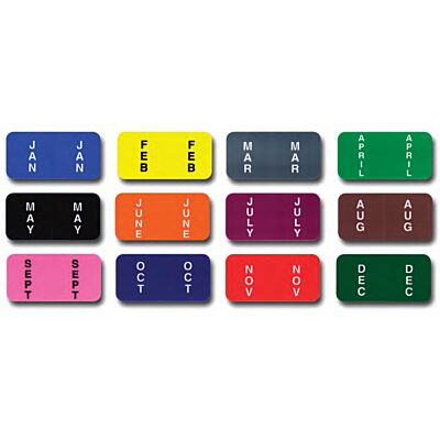 Color-Coded Month Labels - Ringbook  (Full Set)
